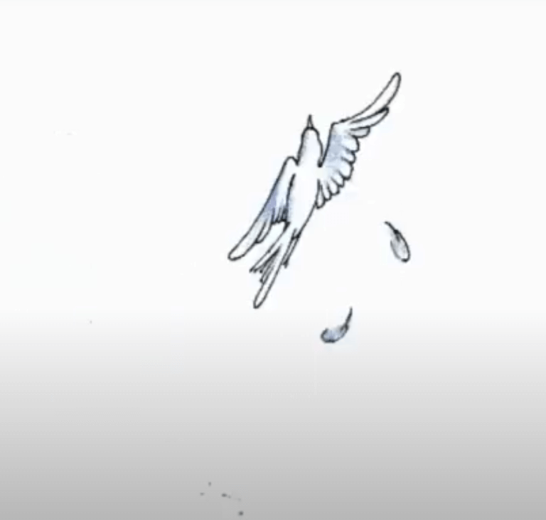 Animation